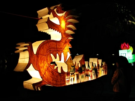 Rực rỡ sắc màu đèn lồng trong đêm giao thừa ảnh 18