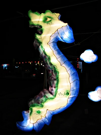 Rực rỡ sắc màu đèn lồng trong đêm giao thừa ảnh 21