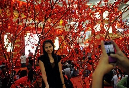 Người châu Á hân hoan đón mừng năm mới Nhâm Thìn-2012 ảnh 23