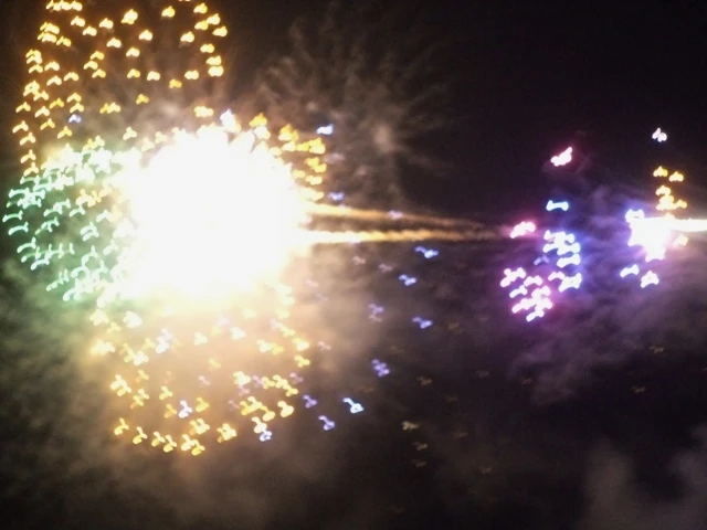 DSC00236 (640x480).jpg