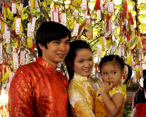 Cùng chụp ảnh bên cây mai đầy lộc.