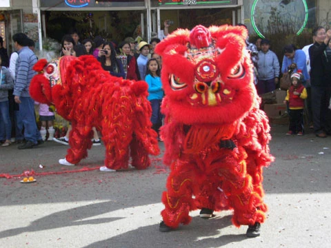 Cận cảnh những con lân nhảy múa trên xác pháo hồng, mang đậm phong vị Tết.