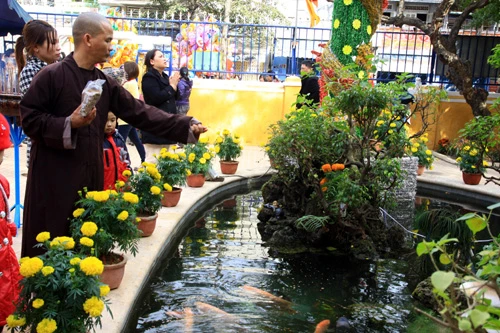 Duyên dáng áo dài đi lễ chùa ảnh 9