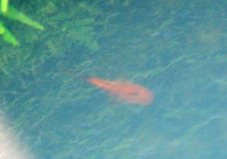 Giếng Hàm Long với truyền thuyết chế ngự rồng dữ ảnh 6