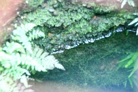 Giếng Hàm Long với truyền thuyết chế ngự rồng dữ ảnh 10