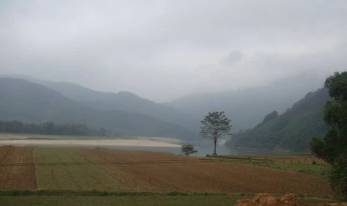 Sẽ là nỗi nhớ miên trường… ảnh 1 ap_20120127010444879.jpg