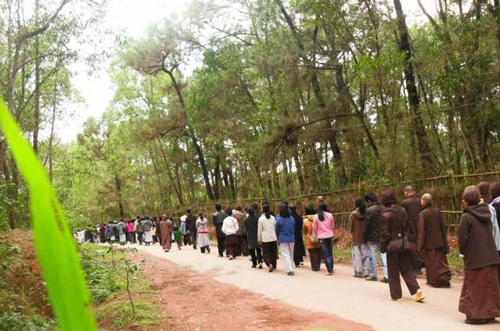 Thiền sinh đi Thiền hành giữa núi rừng