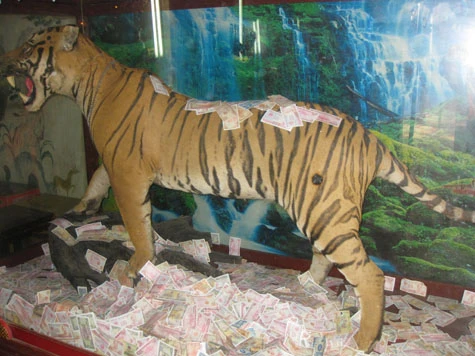 Những hành động 'không đẹp' ở chốn thiêng liêng ảnh 11