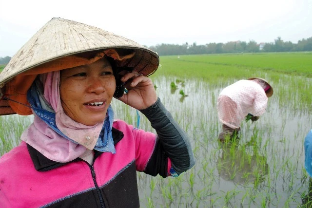 Ch_ Võ Th_ Phi nh_n _i_n tho_i c_a con gái _ang làm _ khu công nhi_p _ _i_n Bàn .jpg