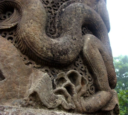 Thân giống rắn.