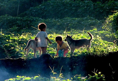 Chị & yêu thương... ảnh 1 4 - Tuoi tho toi - La Viet Tung - 2634.jpg