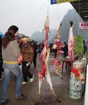 Lễ phải có nghi, hội phải vui tươi! ảnh 3 Ảnh 3 - Câu chuyện trong tuần 627.jpg