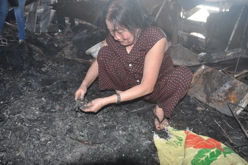 wwChaychoQuangNgai (1)1.jpg