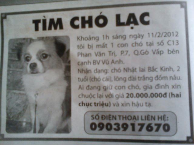 Những con đường chạy qua "miền nhớ" ảnh 1 wtimcholac.jpg