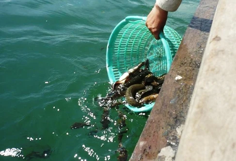 SONG DAO 637 -DIEU KIM.jpg