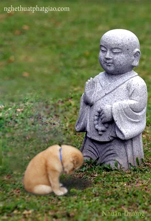 Chú Tiểu và thú con ảnh 3