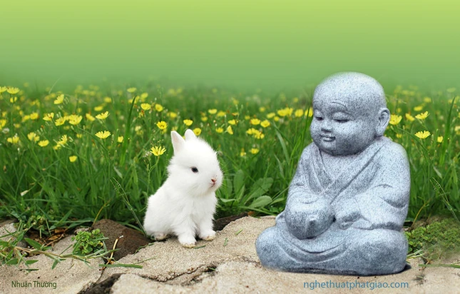 Chú Tiểu và thú con ảnh 2