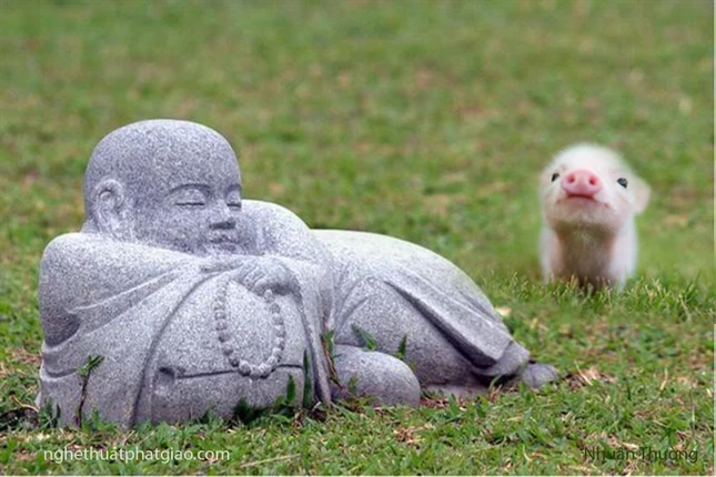 Chú Tiểu và thú con ảnh 4