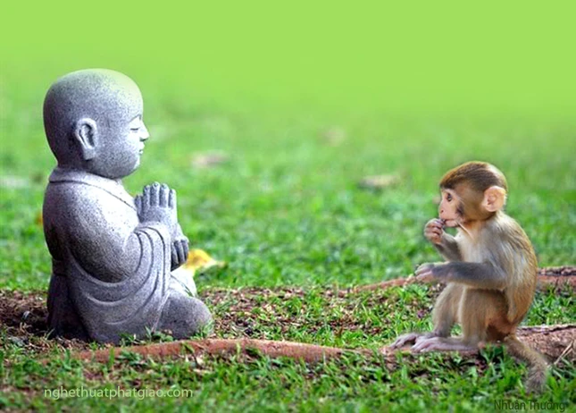 Chú Tiểu và thú con ảnh 12