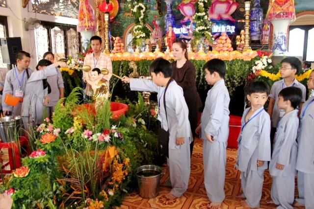 cac be tam phat.jpg