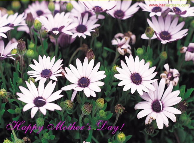 thiep ngay cua me 3.jpg