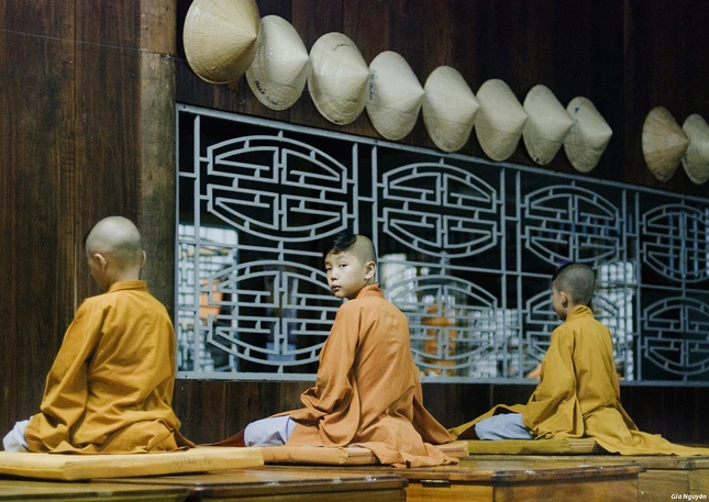 anh tranlamgianguyen.jpg