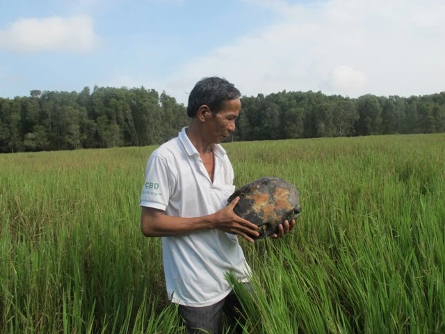 O Luong tha rua Sen vao VQGTC.JPG