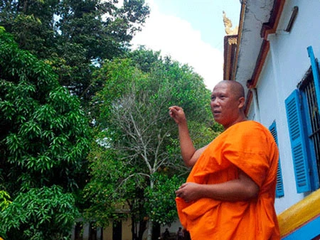 Chùa Dơi vắng bóng dơi vì... quán nhậu ảnh 1 Thượng tọa Lâm Tú Linh lo lắng khi số lượng đàn dơi đang giảm dần.