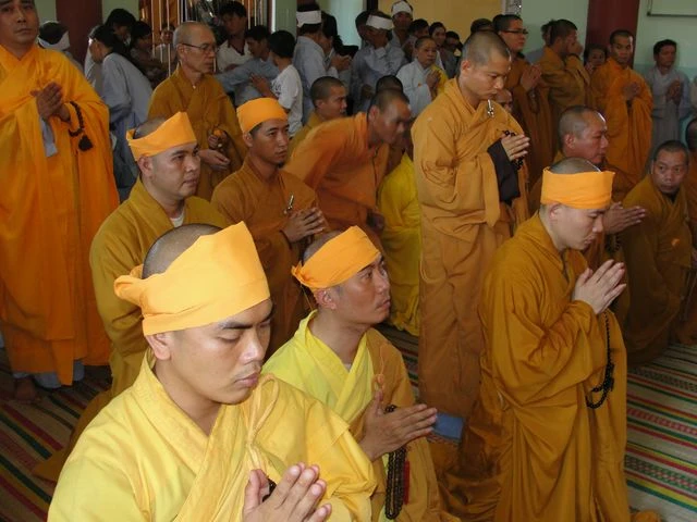 Hoa thuong BD 2.jpeg