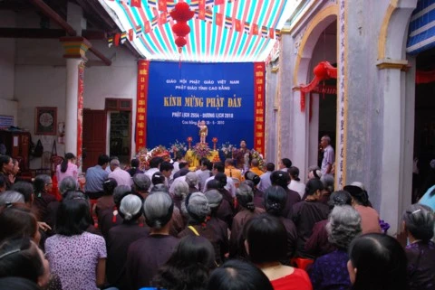 Hinh - Hoang Tuan.jpg