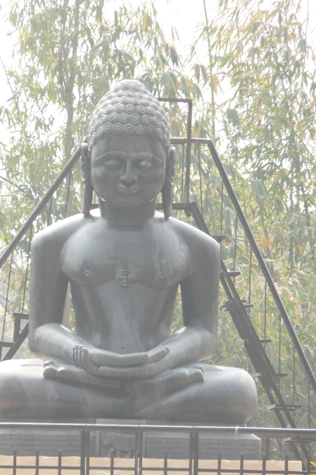 chan dung khai to dao Ni Kien Tu tai Sarnath, Varanasi, Ấn độ anh Chúc Phu.jpg