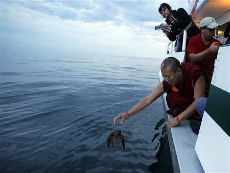 phong tich tom hum, tin Reuters.jpg