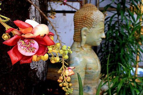 Nghệ thuật vượt chướng ngại ảnh 1 Vượt chướng ngại.jpg