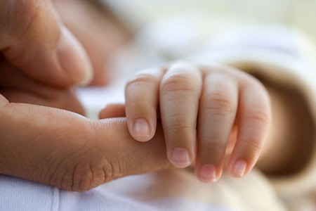 Tình mẫu tử! ảnh 1 Tinh mau tu.jpg