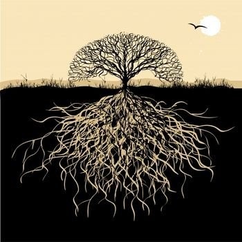 Từ những bông hoa của bé Thảo An ảnh 1 Coi rễ.jpg