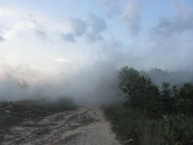 Chư Tăng Trường TCPH Đồng Nai nghẹt thở vì khói than ảnh 2 IMG_3542-Khói cả một vùng trời từ đường vào cổng trường.JPG