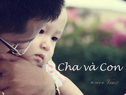 con-cho-ba-anh-sang.jpg