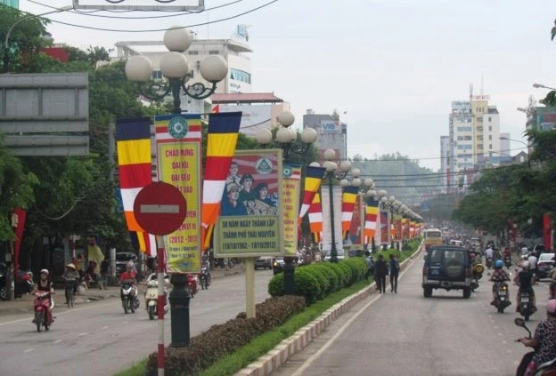 daihoithainguyen 3.jpg