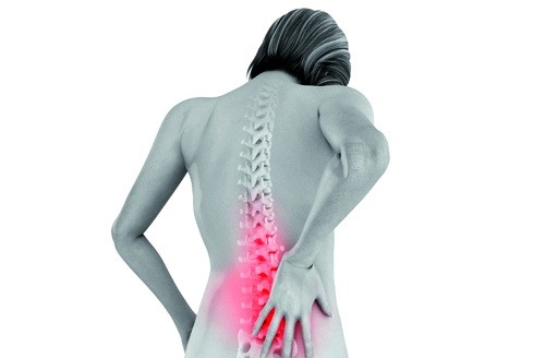 Sau độ tuổi 60, mật độ xương ở nữ giới thấp hơn nam đến 17% - Ảnh: ezyhealth.com Sau độ tuổi 60, mật độ xương ở nữ giới thấp hơn nam đến 17% - Ảnh: ezyhealth.com