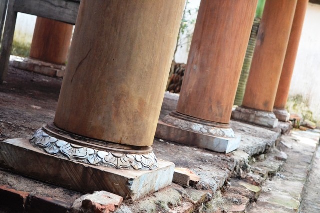 tram gian 123 (3).JPG