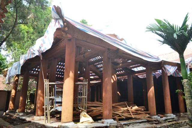 tram gian 123 (4).JPG