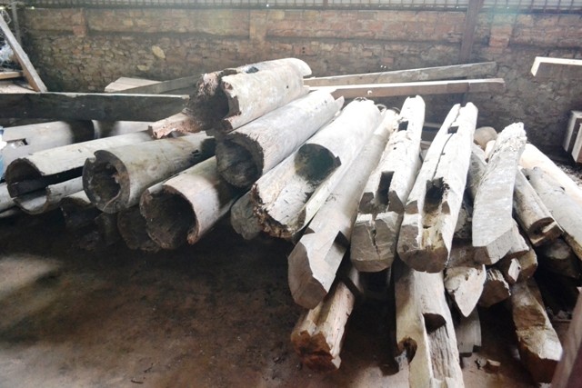 tram gian 123 (5).JPG