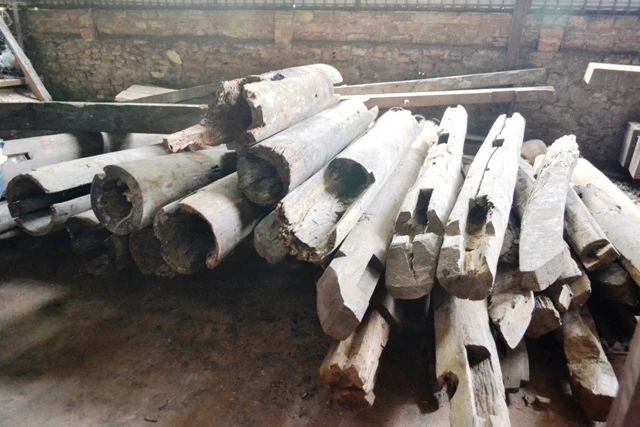 tram gian 123 (5).JPG