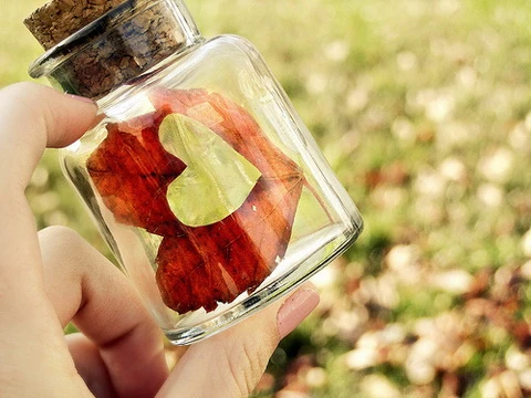 trai tim mau hong.jpg