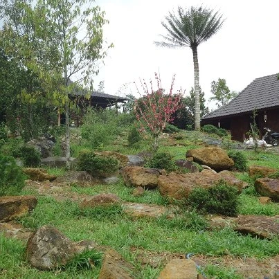 chua xua cua toi.jpg