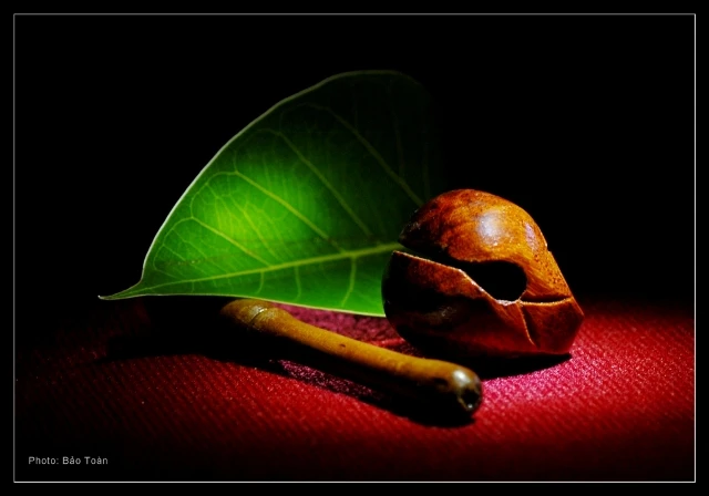 nghethuatphatgiao-com 3.jpg