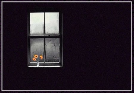 Mùa đông gõ cửa… ảnh 1 khung-cua-so.jpg