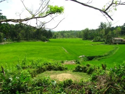 1 Quang Nam yeu thuong.JPG