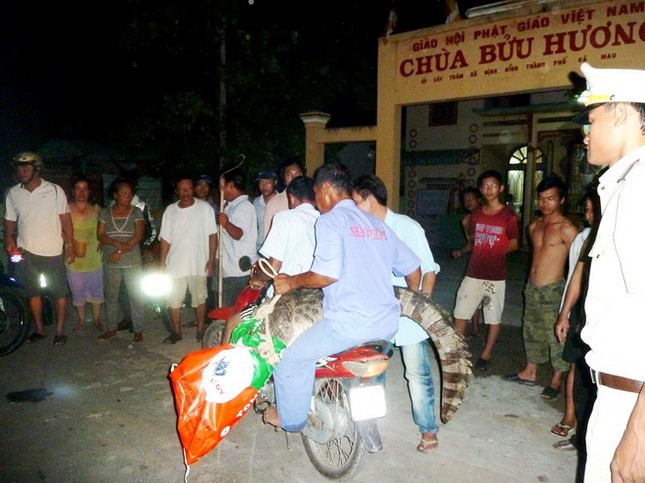 Cá sấu bò vào chùa ảnh 3 imageview_aspx_thumbnailid_594326.jpg