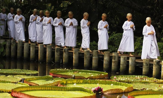 Chị đã cho em sáng mắt, sáng lòng… ảnh 1 Anh Thien than quet la, GN 664.jpg